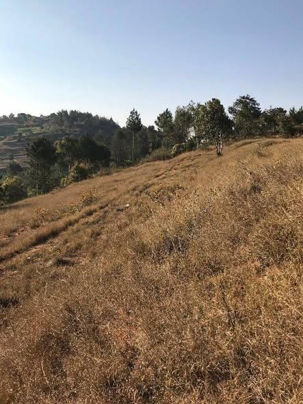 Terrain à vendre — Ambohimanambola - photo 3