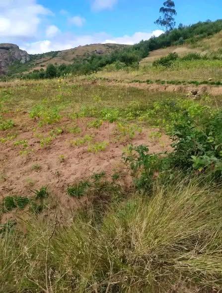 Terrain à vendre — Manjakandriana - photo 1