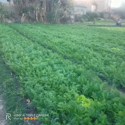 Terrain à vendre — Ambatolampy — 13 000 000 Ar | Fonenako
