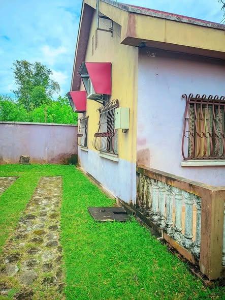 Maison 2 ch. à louer — Toamasina - photo 2