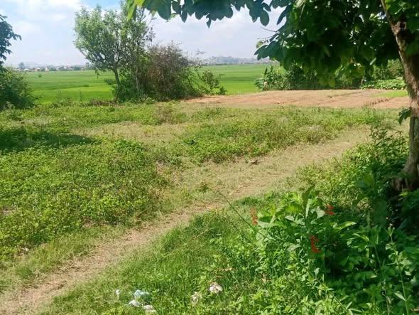 Terrain 100 m² à vendre — Ambohibao - photo 1