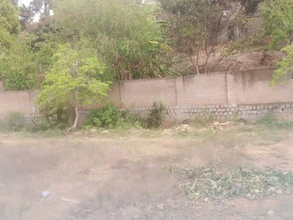Terrain 100 m² à vendre — Ambohibao - photo 2