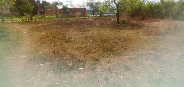 Terrain 100 m² à vendre — Ambohibao - photo 3