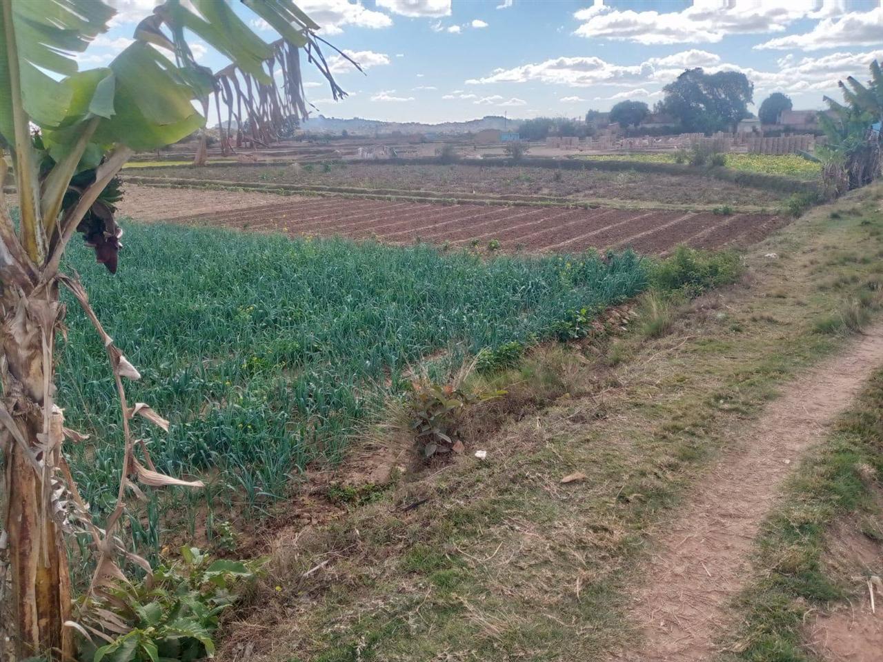 Terrain 300 m² accès voiture — Ambohimanambola, Antananarivo - photo 2