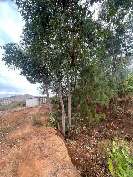 Terrain 2 500 m² à vendre — Anjeva - photo 1