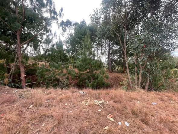 Terrain 2 500 m² à vendre — Anjeva - photo 2