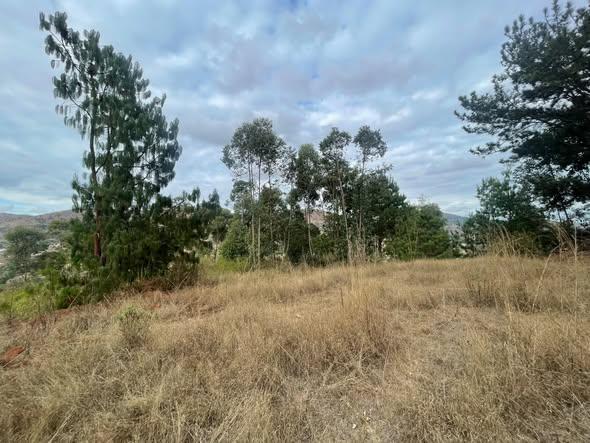 Terrain 2 500 m² à vendre — Anjeva - photo 4