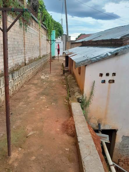 Terrain à vendre — Ambohibao - photo 1