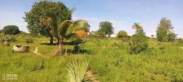 Terrain 30 000 m² à vendre — Mahajanga - photo 1