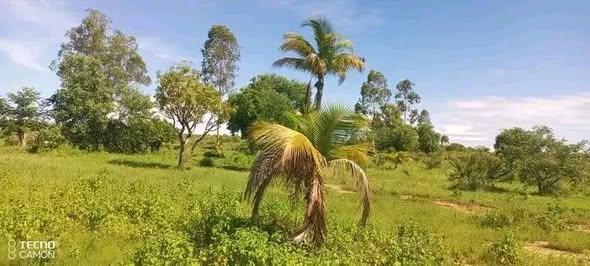Terrain 30 000 m² à vendre — Mahajanga - photo 2