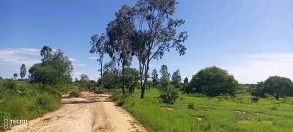 Terrain 30 000 m² à vendre — Mahajanga - photo 3