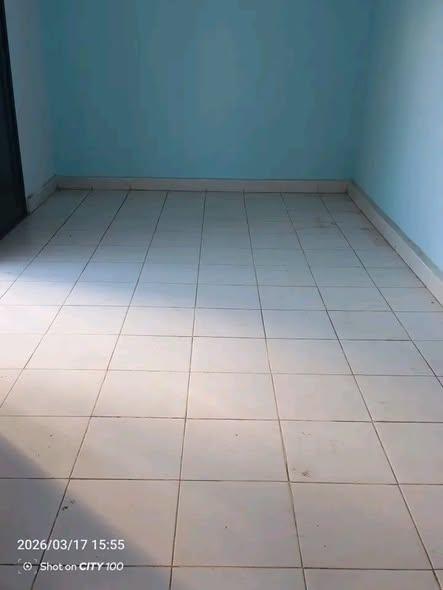 Trano Ahofa à louer — Ankatso - photo 2