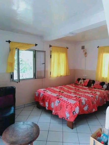 Appartement à louer — Ankatso - photo 2