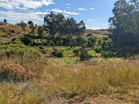 Terrain 2 700 m² à vendre — Ambohidratrimo · 25 000 Ar/m² - photo 5