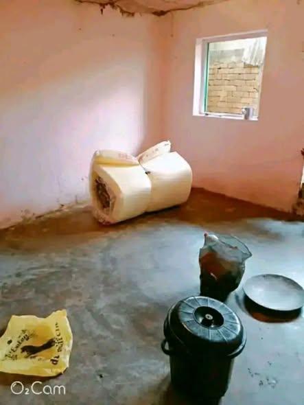 Maison 1 ch. à vendre — Andraisoro - photo 1