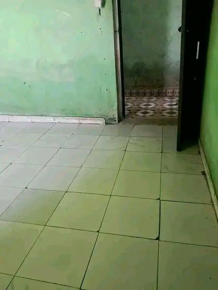 Trano Ahofa 1 ch. à louer — Andohatapenaka - photo 3