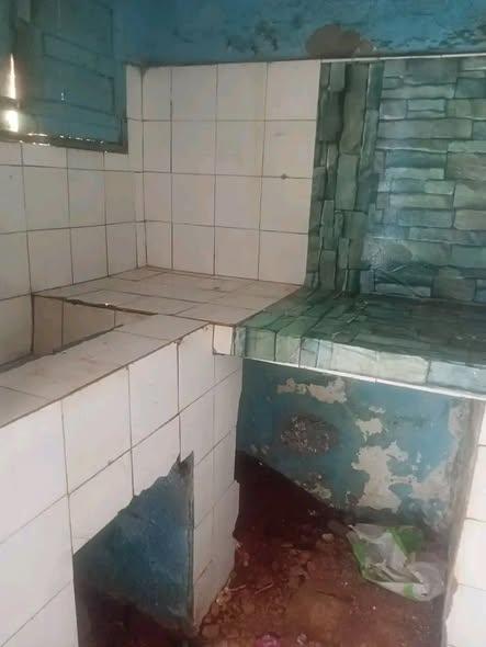 Appartement à louer — 67ha - photo 3