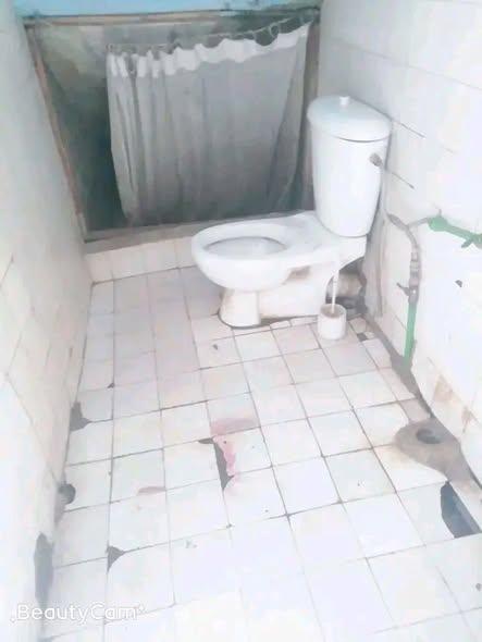 Appartement à louer — 67ha - photo 4