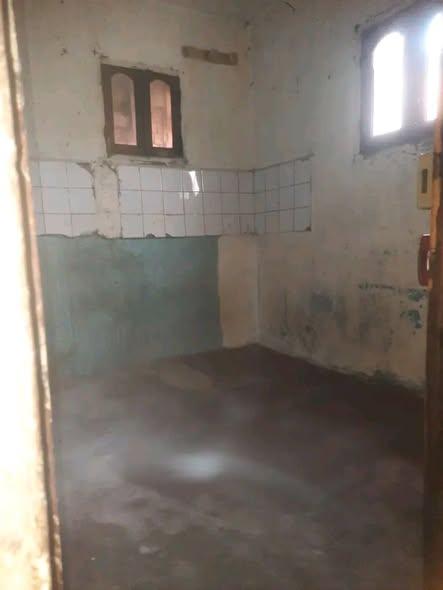 Trano Ahofa 1 ch. à louer — 67ha - photo 2