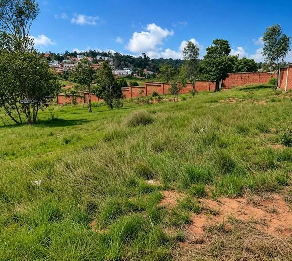 Terrain 1 000 m² à vendre — Ilafy - photo 1