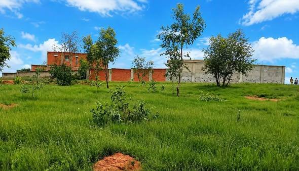 Terrain 1 000 m² à vendre — Ilafy - photo 2