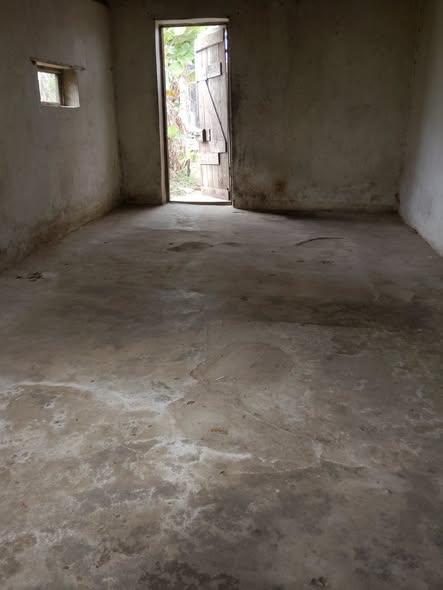 Trano Ahofa 1 ch. à louer — Andohatapenaka - photo 2