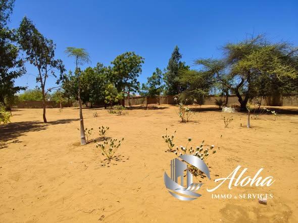 Immeuble à vendre — Toliara - photo 2