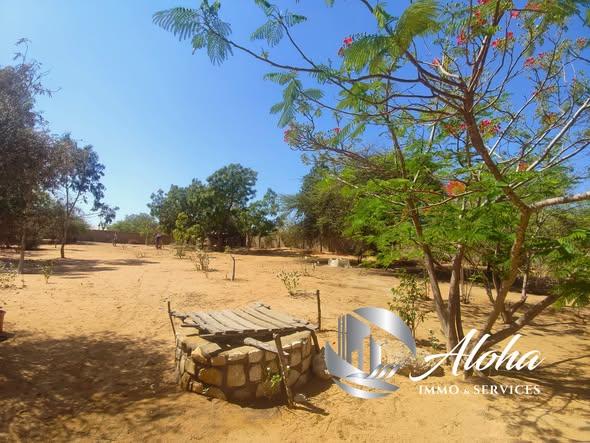 Immeuble à vendre — Toliara - photo 3