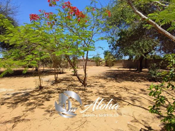 Immeuble à vendre — Toliara - photo 4