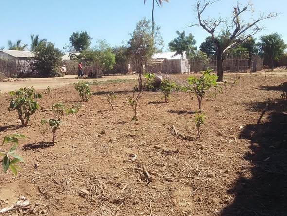 Terrain à vendre — Toliara - photo 4