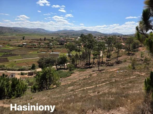 Terrain 43 320 m² à vendre — Ambohimanambola - photo 1