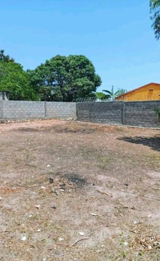 Maison 500 m² à vendre — Mahazo - photo 1
