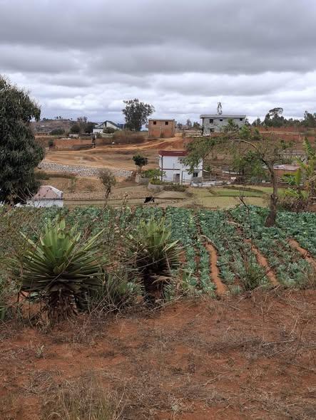 Maison 200 m² à vendre — Ambohijanaka - photo 5