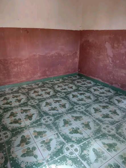 Trano Ahofa 2 ch. à louer — Ankadratombo - photo 2