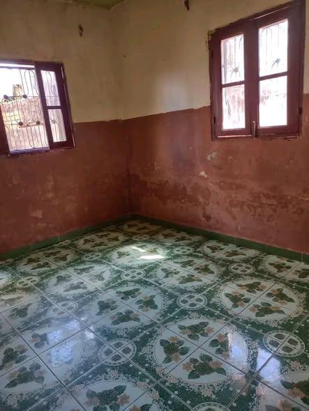 Trano Ahofa 2 ch. à louer — Ankadratombo - photo 4