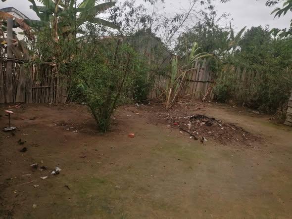 Maison 2 ch. à vendre — Moramanga - photo 2