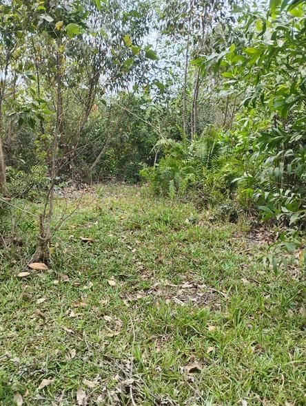 Maison 500 m² à vendre — Toamasina - photo 1