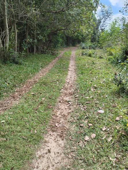 Maison 500 m² à vendre — Toamasina - photo 2