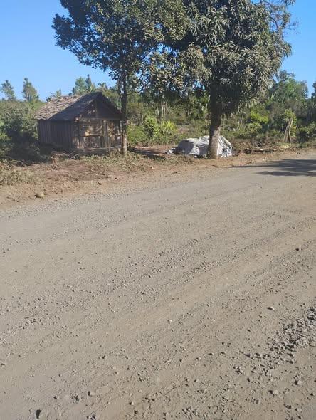 Maison 500 m² à vendre — Toamasina - photo 4