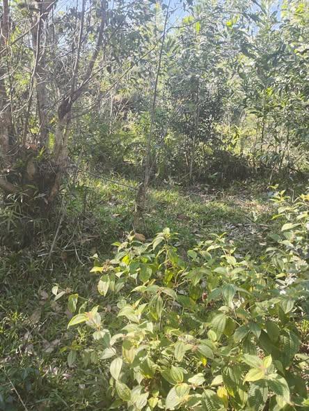 Maison 500 m² à vendre — Toamasina - photo 5