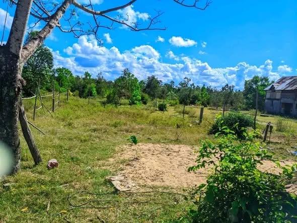 Bureau 250 m² à vendre — Toamasina - photo 1