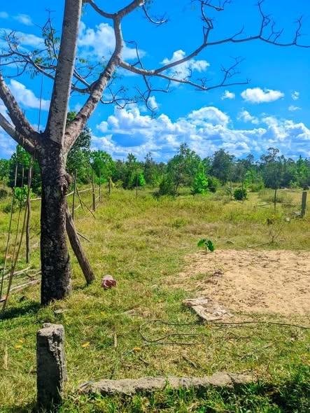 Bureau 250 m² à vendre — Toamasina - photo 2