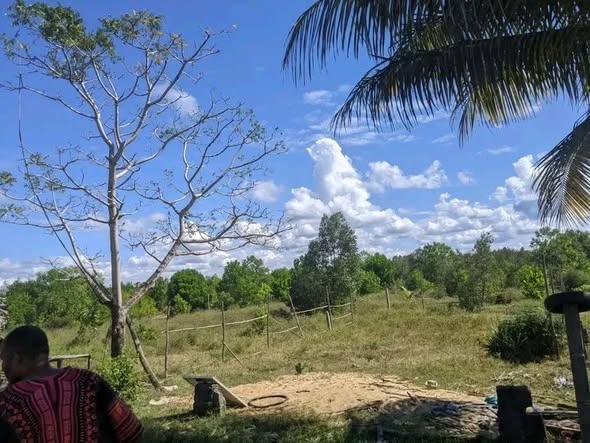 Bureau 250 m² à vendre — Toamasina - photo 3
