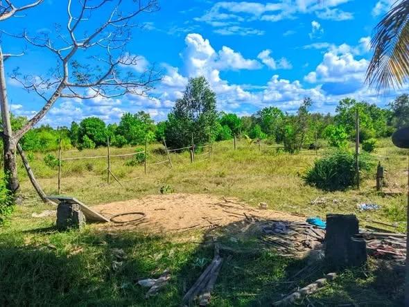 Bureau 250 m² à vendre — Toamasina - photo 4