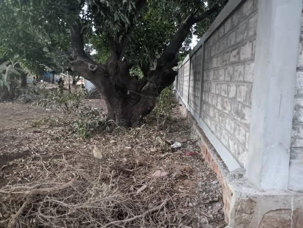 Terrain 1 000 m² à vendre — Mahajanga - photo 1