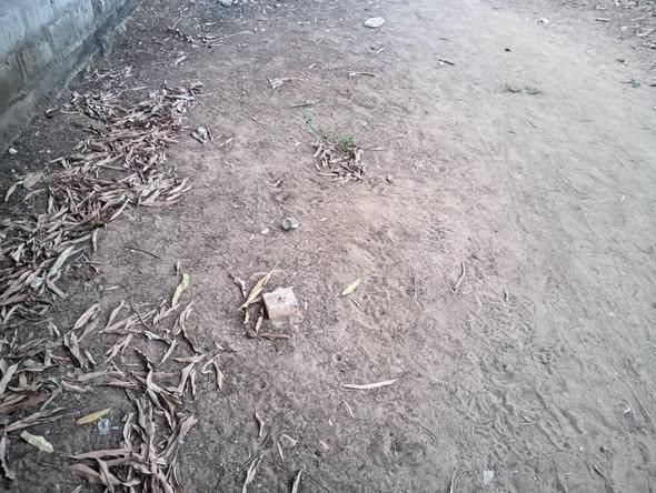 Terrain 1 000 m² à vendre — Mahajanga - photo 2