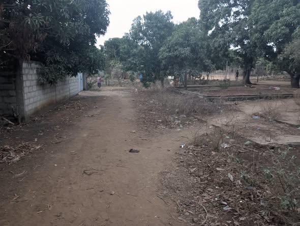 Terrain 1 000 m² à vendre — Mahajanga - photo 3