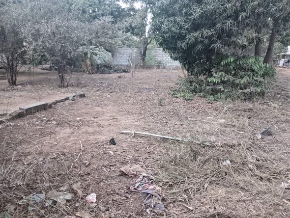Terrain 1 000 m² à vendre — Mahajanga - photo 4