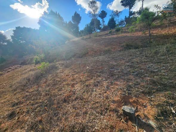 Terrain 6 230 m² à vendre — Ivato - photo 3