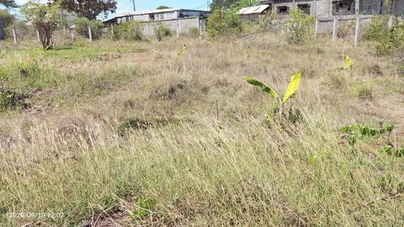 Terrain 500 m² à vendre — Nosy Be - photo 2